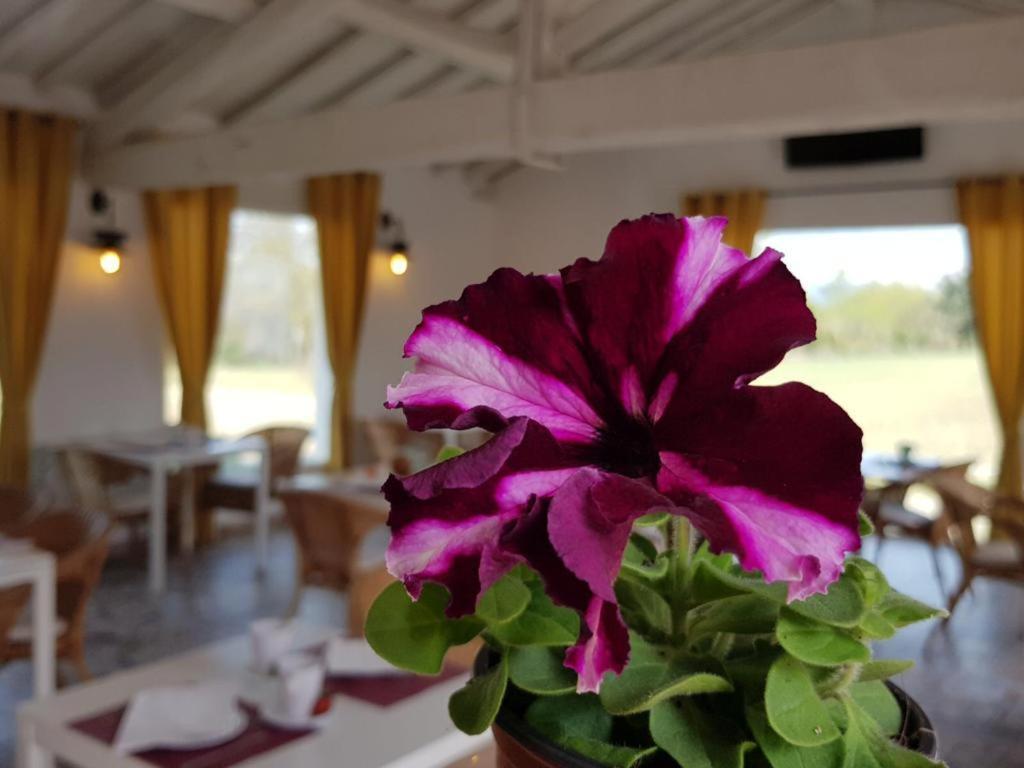 Hotel Valle Del Oja Касаларрейна Экстерьер фото
